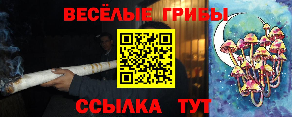 Псилоцибиновые грибы Cubensis  Вход с VPN  Донецк 